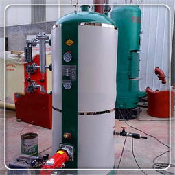 新聞 四川省宜賓市生物質蒸汽發生器廠家