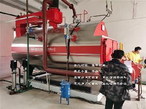 高效能源解決方案 4噸燃氣蒸汽鍋爐與反應釜夾層鍋的配套應用